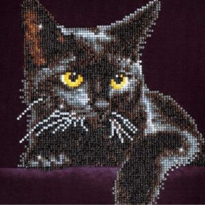 Diamond Supply Co. Midnight Cat Art Kit NIB